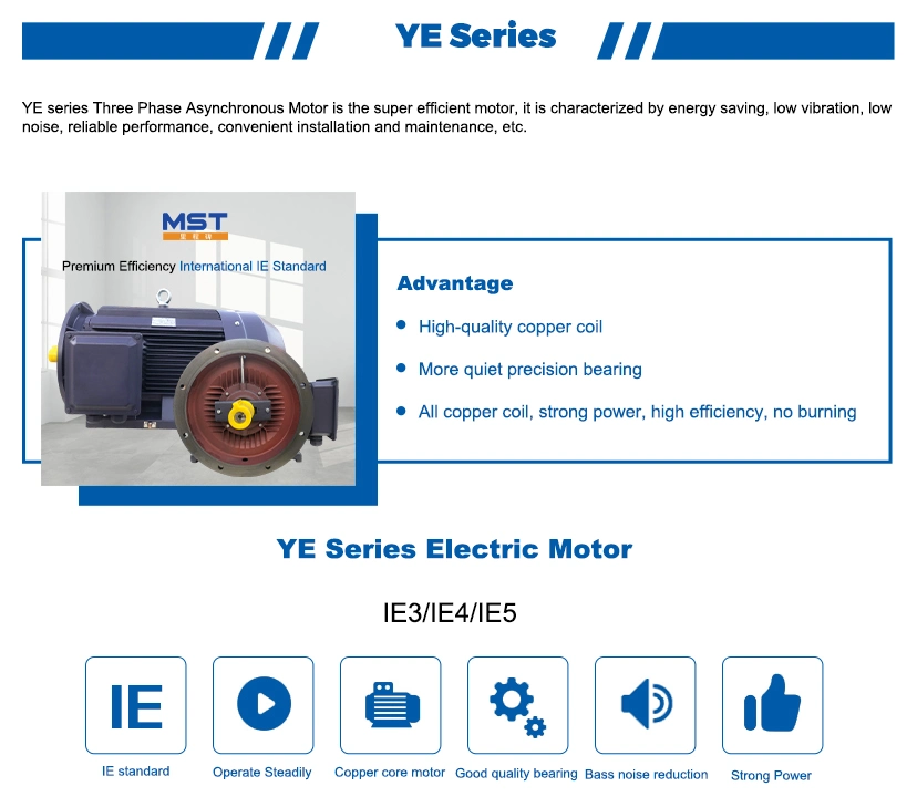 High Quality Ie3 Ie4 AC Electric Motor High Efficiency Induction Motor