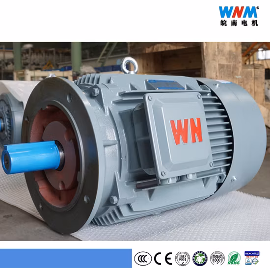 Ye4 Ce CCC IEC Ie4 Efficiency Three Phase AC Induction Electric Crusher Destemmer Motor Price for Mine Metallurgy Ye4
