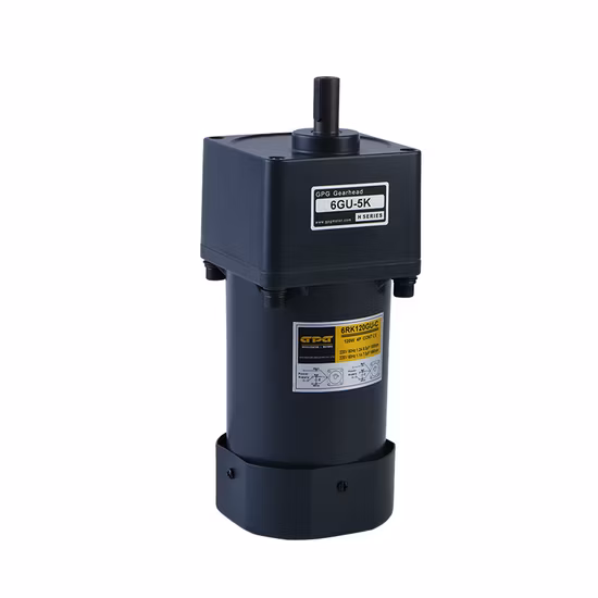 Gpg Vtv Pellet Stove Burner Boiler Dosing Metering Pump Micro AC Reversible Induction Gear Reduction Motor 4ik25gnc 8rpm Yn80