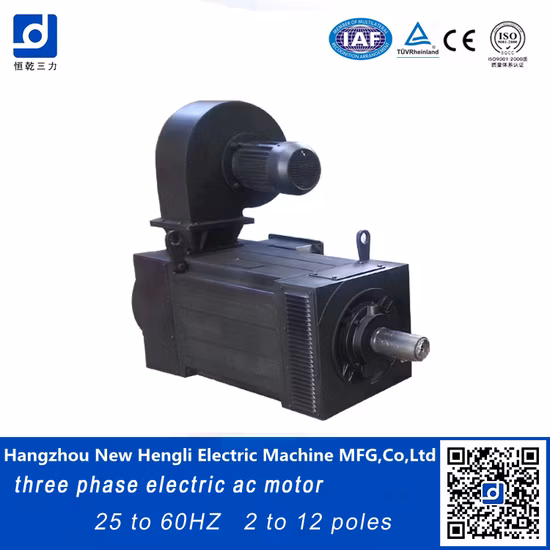 NHL Yjp Ie4 55kw AC Electric Motor