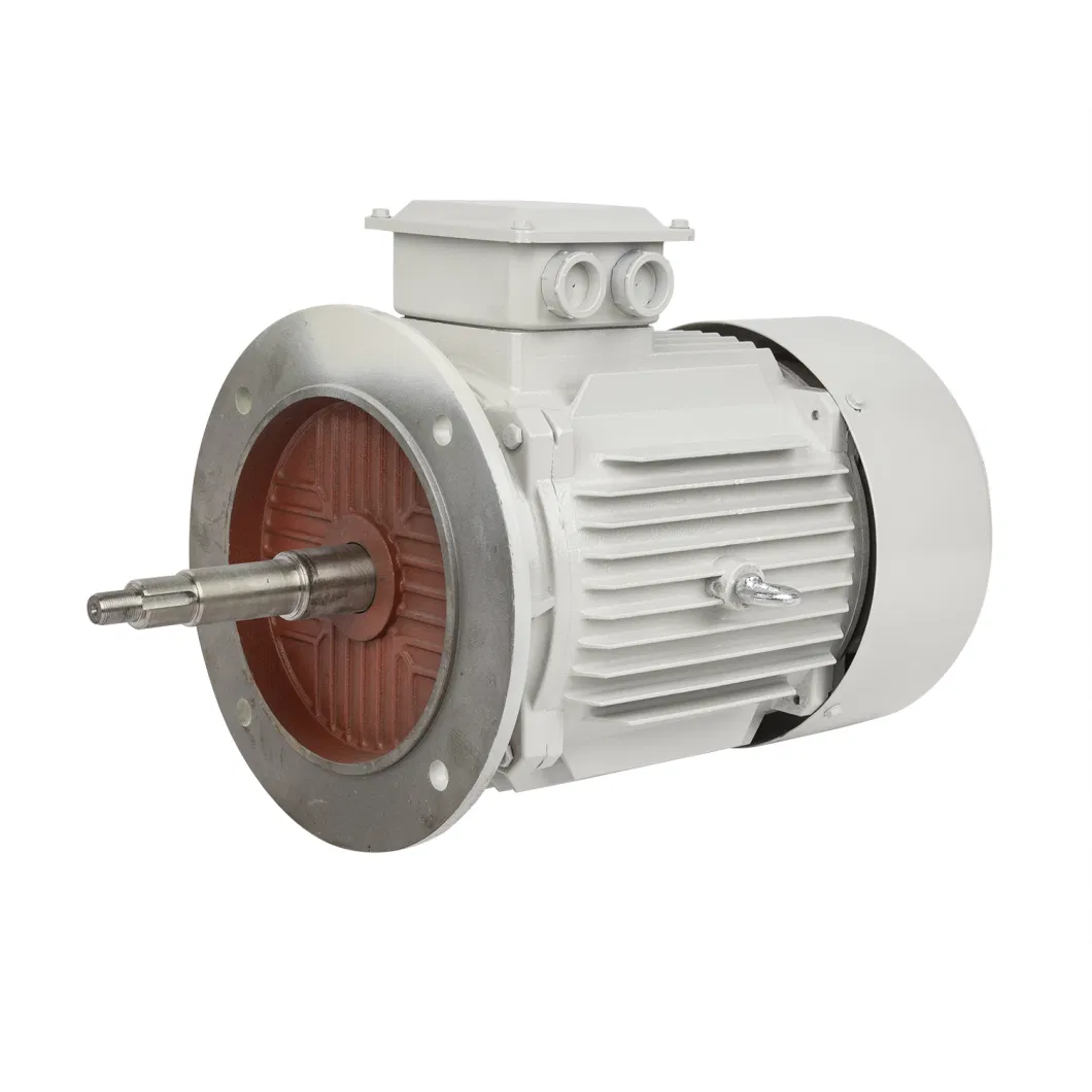 Three Phase Asynchronous Induction Motor with Ie1 Ie2 Ie3 Ie4 Aluminum Casing IEC ISO9001 CE