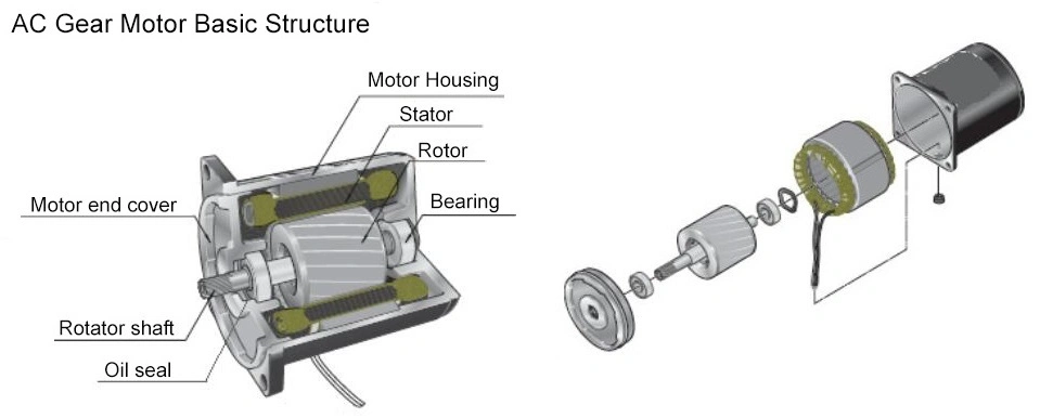 Gpg Vtv Pellet Stove Burner Boiler Dosing Metering Pump Micro AC Reversible Induction Gear Reduction Motor 4ik25gnc 8rpm Yn80-25 3ik15gn 5ik60gn120gn