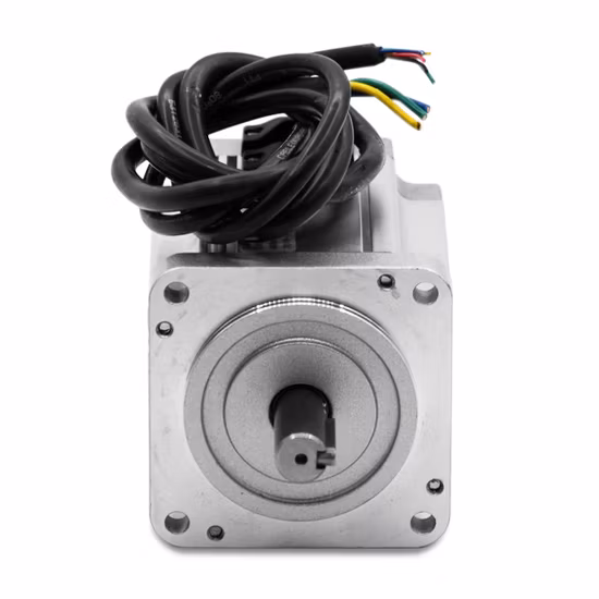80mm Low Torque High Speed Boat Electric Cooler Motor Listrik Electric Motor