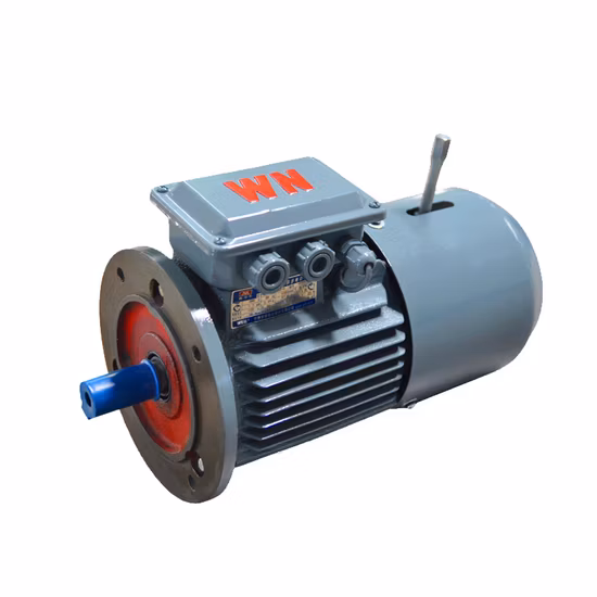 CE 50Hz 60Hz Y2 Y Ms Yb2 Yb3 Ybx3 Yd Yej Single Three Phase Explosion Proof Flame Proof Electric Motor for Blower Compressor Pump LPG (0.75KW